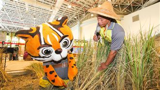 花博樂農館　虎爸體驗稻田豐收喜悅