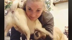 該名國外女網友在練習平板式的過程，有2隻狗狗在身旁打鬧也不為所動。（圖／翻攝自LADbible臉書粉絲團）