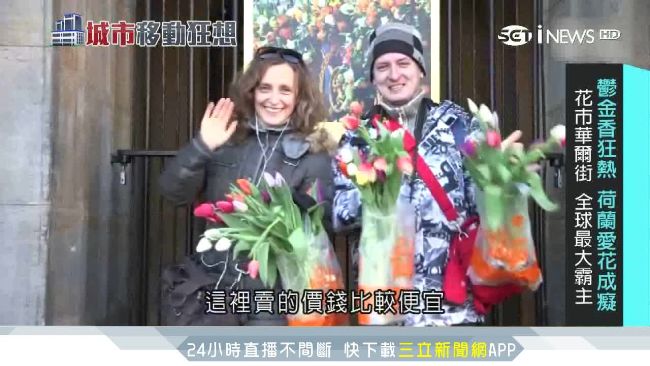 鬱金香狂熱！荷蘭成「花卉的華爾街」