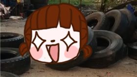  泰國,野豬,啪啪,性愛,輪胎,老婆,發軟,母豬,豬哥,　圖／翻攝自臉書　