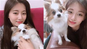 周子瑜,愛犬,美腿,邪惡視角,酷吉,／翻攝自IG