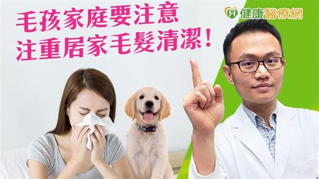 一年兩次一次半年！寵物換毛最重要事