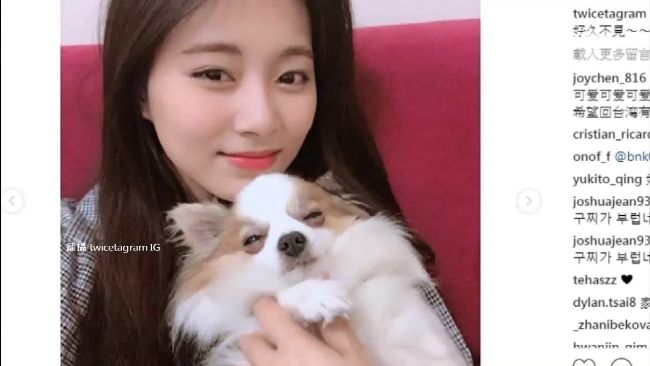 周子瑜曬回台美照！表情和愛犬神同步