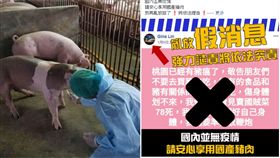 （合成圖／翻攝自臉書）黨員,非洲豬瘟,造謠