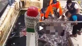 將軍漁港撈起男屍（圖／翻攝爆料公社）
