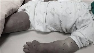 台南女童遭虐死　生父：爸爸對不起妳