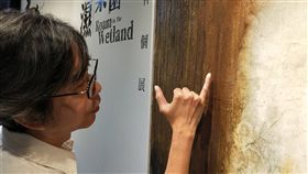 半生歲月釀熟抽象奧義　曾銘祥展現濕地之美