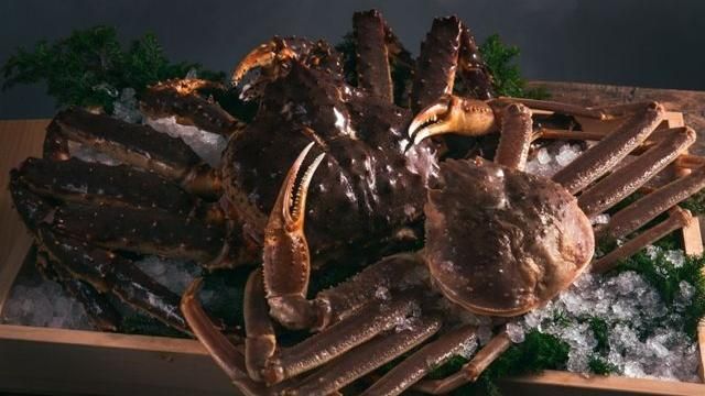 嗑蟹季來了！日本料理「月夜岩」開幕