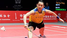 戴資穎。（圖／翻攝自戴資穎臉書）