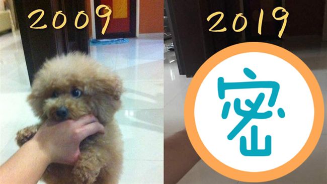 她貼出10年前後照　網友看到全哭了