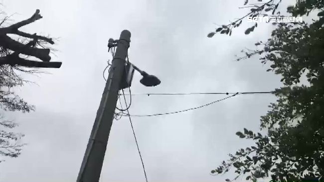 玩水球遭路燈電擊　男腦損獲千萬國賠