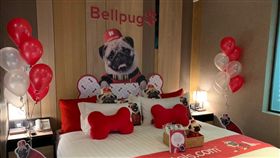 Hotels.com,巴哥主題房。（圖／記者馮珮汶攝）