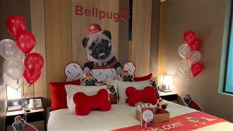 鏟屎官注意！超萌限定寵物主題房來了