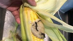 玉米,黴菌,高檔,食材,爆廢公社　圖／翻攝自臉書爆廢公社