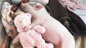 （圖／翻攝自boochaes IG）