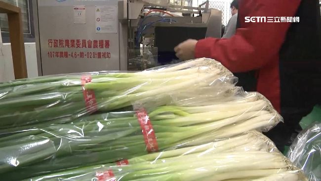 三星蔥價暴跌　蔥農嘆：欲哭無淚