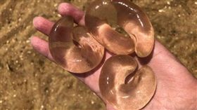 1歲8月兒餐廳尖叫被罰站　鄰桌客酸「外面那麼冷」老媽氣炸（圖／爆廢公社）