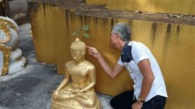 泰國帕夭府（Phayao）一間寺廟內，有一尊佛像後腦長出了「4片葉子」的小菩提樹。不少信眾見狀後，紛紛直喊「佛祖顯靈！」（圖／翻攝自thaiheadlines）