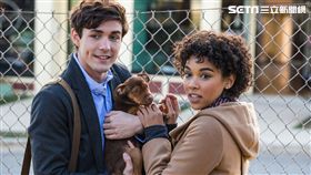 為了與你相聚暴風女與男主角一起救援流浪狗。（圖／双喜電影提供）