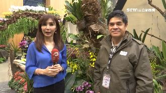 蘭花竟然能算命？主播前進花博解謎團