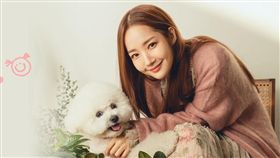 朴敏英預計今傍晚抵台走特殊通道。（圖／都亞士傳媒提供)