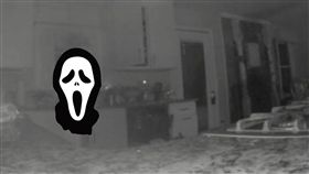 鬼魂,吸毒,澳洲,監視器,單親,喜極而泣,戒毒,　圖／翻攝自推特　