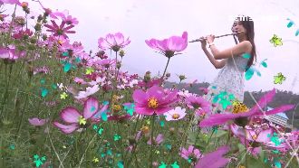忘憂花海留美照！埋進花中、穿對比色