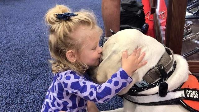 服務犬默默陪伴！怕狗女童卸心防獻吻