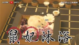 影片授權：SIMI TV