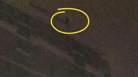 「整容失敗」崩潰！直播主跳18樓獲救　凌晨再跳身亡(圖/翻攝自梨視頻)