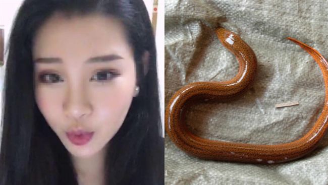 女主播鱔魚塞下體　結果讓她欲哭無淚