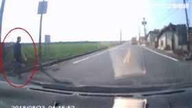 身世悲慘養豬男上工遇死劫 23歲肇事女淚崩：對不起