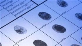 ▲指紋（圖／翻攝網路）