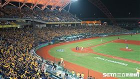 ▲台中洲際球場（圖／記者王怡翔攝）