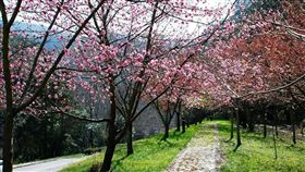 （圖／Tripbaa趣吧！亞洲自由行專家）