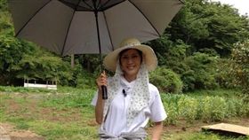 秋野暢子／翻攝自秋野暢子推特