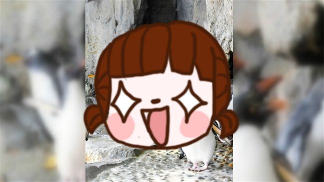 大隻佬企鵝雛鳥！笑翻網：是工讀生吧
