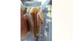 竹蛤,鮑魚,昂貴,食材,爆廢公社　圖／翻攝自臉書爆廢公社