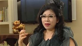 陳文茜／擷取自YouTube