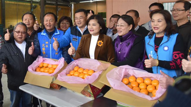 雲林茂谷柑首航大陸　4萬公斤銷成都