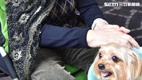 冷氣團,腦中風病友協會,台北榮民總醫院,林永煬,腦中風,中風