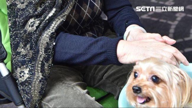 天冷注意！她幫狗狗洗澡後卻倒地不起