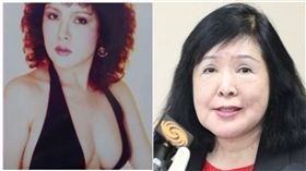 鄭麗君,掌摑,鄭惠中,記者會,應曉薇。（圖／記者林士傑攝影、網路）