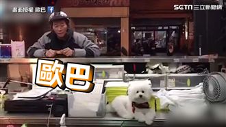 白貴賓見正妹超熱情　見阿北一秒石化