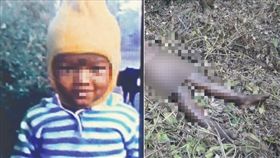 3歲女童被花豹叼走，母親追趕上僅發現一堆血衣。《大吉嶺紀事報》