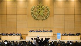 世界衛生組織,世衛,WHO,圖／翻攝自美聯社／達志影像