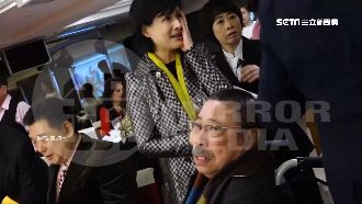 鄭麗君被打巴掌！羅文嘉曝其實鄭..