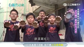 填鴨背誦掰！「主題教學」玩出知識力