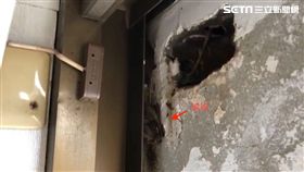 蝙蝠洞。（圖／屋主提供）