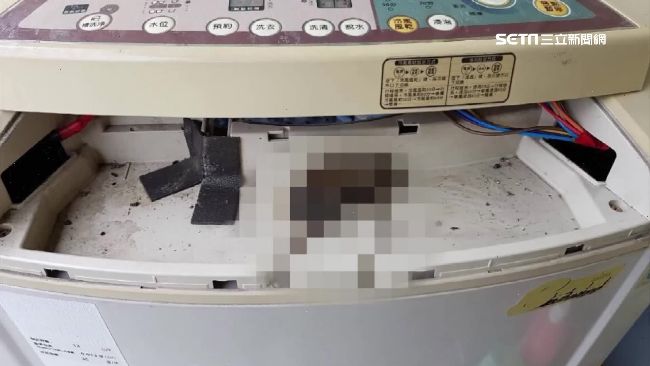皂垢、黴菌、死老鼠　洗衣機比馬桶髒